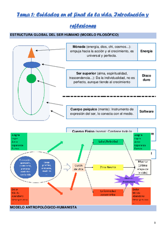 PALIATIVOS-1.pdf