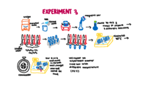 scheme-exp-3-experimentacion.pdf