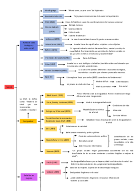 ESQUEMA SALUD CIENCIES SOCIALS.pdf