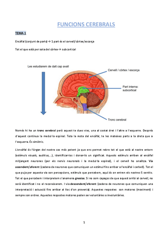 Apunts-funcions.pdf