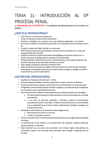 PROCESAL-PENAL.pdf