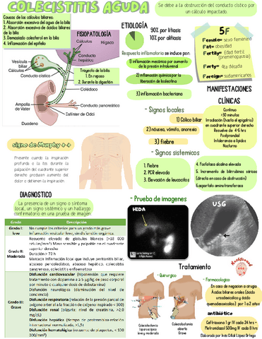 COLECISTITIS.pdf