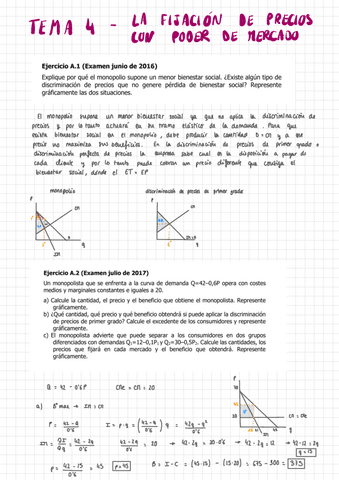 ejercicios adicionales t4 micro.pdf