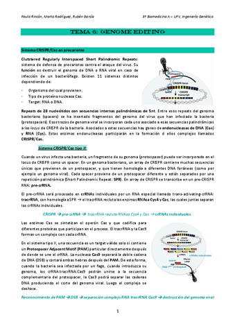 Tema-6-ingenieria-genetica.pdf