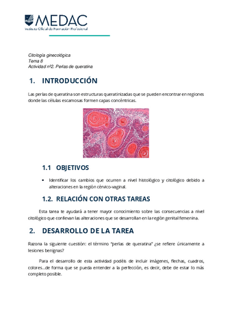 ACTIVIDAD-2.pdf