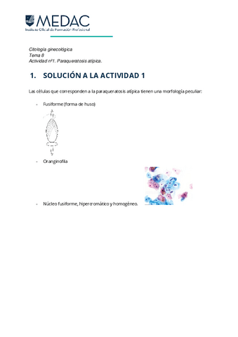 ACTIVIDAD.-1-SOL.pdf