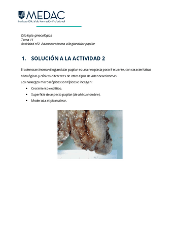 ACTIVIDAD-2-SOL.pdf