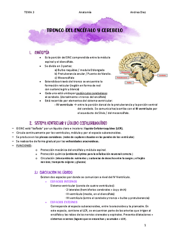 TEMA-3-TRONCO-ENCEFALICO-Y-CEREBELO.pdf