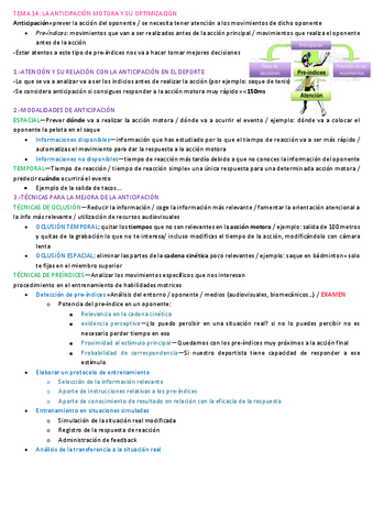 Tema-14.-La-anticipacion-motora-y-su-optimizacion.pdf