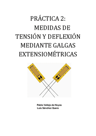 PRACTICA-2-ELASTICIDAD.pdf