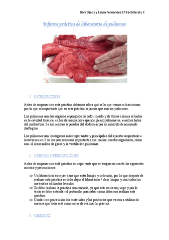Informe-de-laboratorio-pulmones.pdf