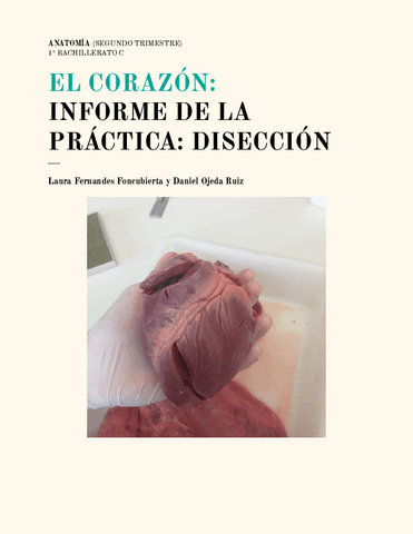 Informe-de-la-practica-del-corazon.pdf