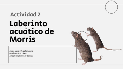 Actividad-2-Laberinto-acuatico-de-Morris.pptx.pdf