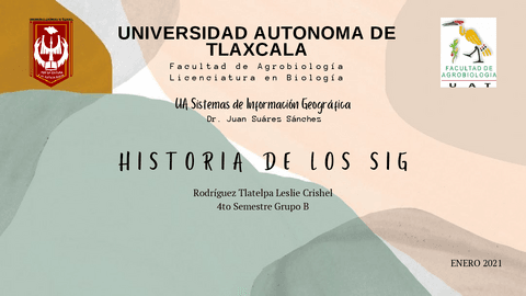 HistoriadelosSIG.pdf