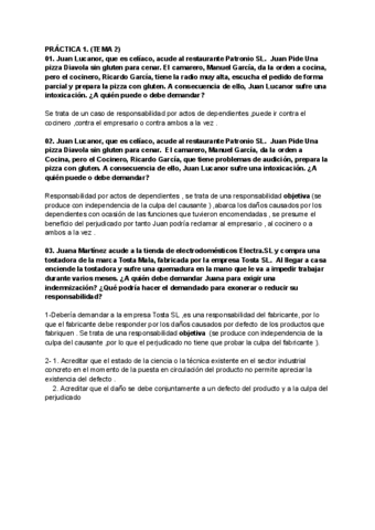 PRACTICAS-DERECHO.pdf