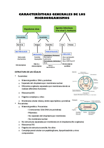 micro-parte-1.pdf