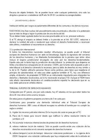 CONSTITUCIONAL-6.pdf