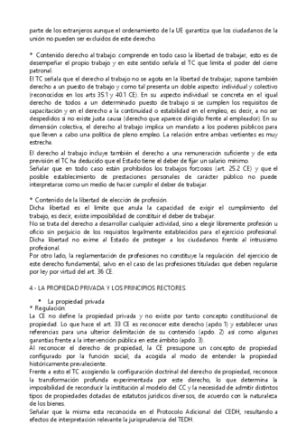 CONSTITUCIONAL-19.pdf