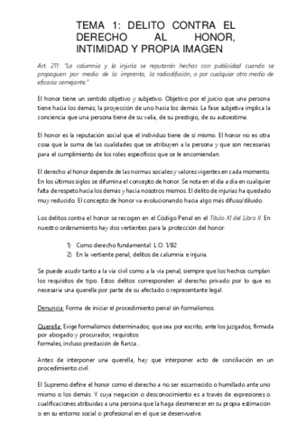 derecho-penal-ii-1.pdf