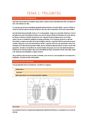 APUNTES-ZOO2.pdf