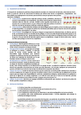 Tema-7-FEM.pdf