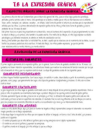 t.6-expresion-grafica.pdf