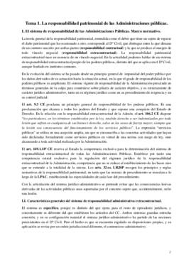 Apuntes.pdf