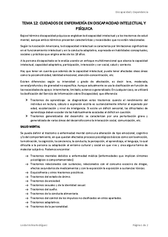 DISCAPACIDAD-TEMA-12.pdf