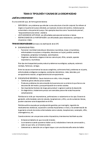 DISCAPACIDAD-TEMA-3.pdf