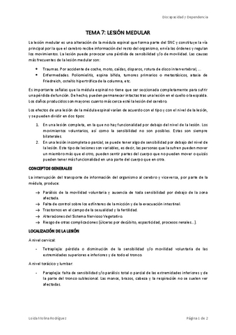 DISCAPACIDAD-TEMA-7.pdf