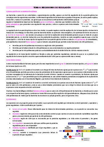 TEMA-8-FEM.pdf