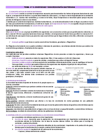 TEMA-4-Y-5-FEM.pdf