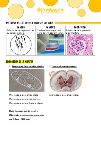 MICROSCOPIA.pdf