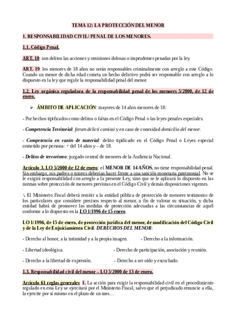 Tema-12-La-proteccion-del-menor.pdf