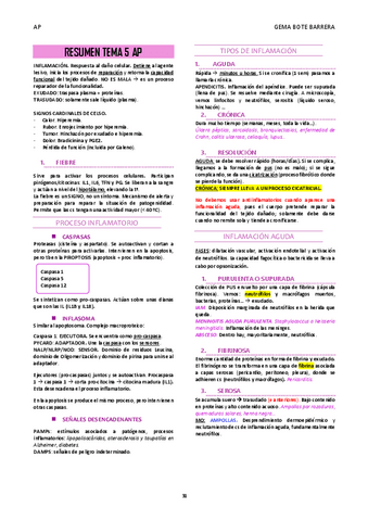 RESUMEN-TEMA-5-AP.pdf