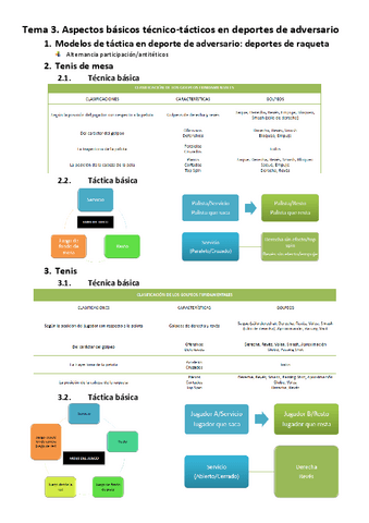 T3.-AdversarioRaqueta.pdf