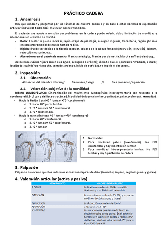 Practica-Cadera.pdf