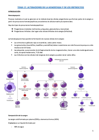 t17-fisiopato.pdf