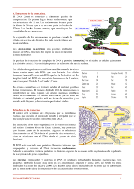 3. Estructura de la cromatina.pdf