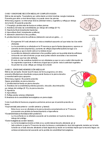 casos-clinicos-neuroanatomia.pdf