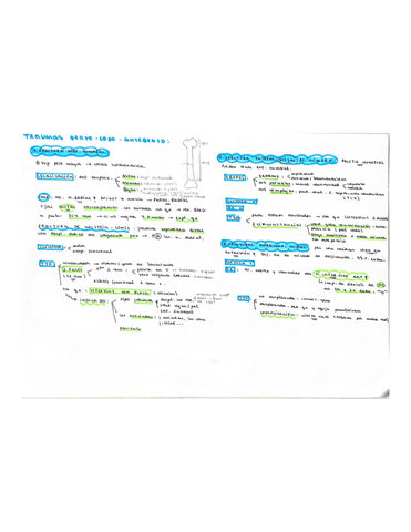 Trauma-brazo-codo-humero.pdf