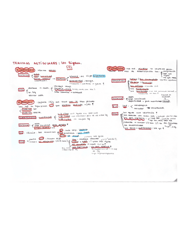 TRAUMAS-ligamentos.pdf