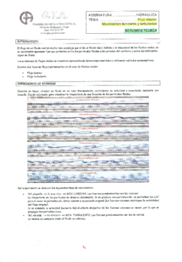 Flujo interno- movimientos laminares y turbulentos.pdf
