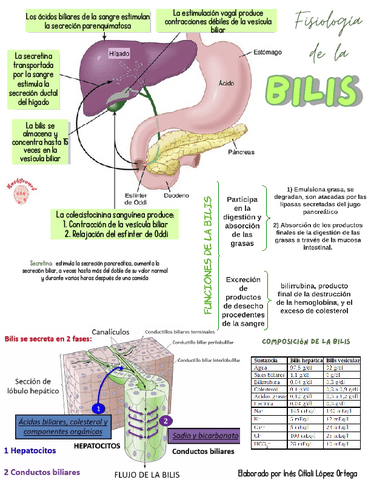 Fisiologia-de-la-bilis.pdf