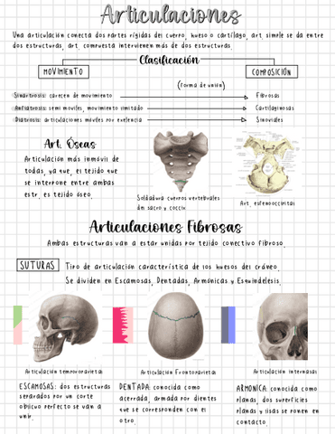 Anatomia-Artrologia.pdf