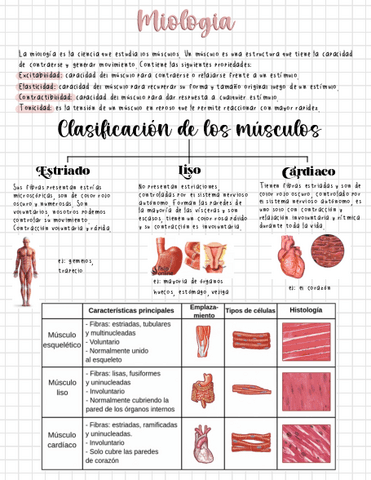 Anatomia-Miologia.pdf