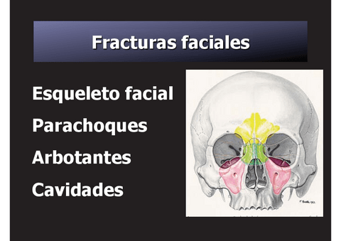 cirugia-y-traumatologia-maxilofacial-V.pdf