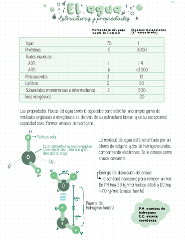 Bioquimica-Agua.pdf