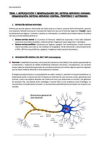 Neuroanatomia-1o-Parcial.pdf
