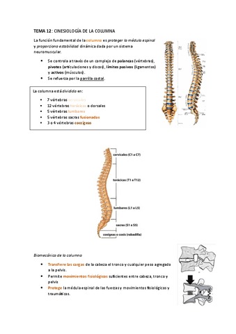 CINESIOLOGIA-DE-LA-COLUMNA-VERTEBRAL.pdf